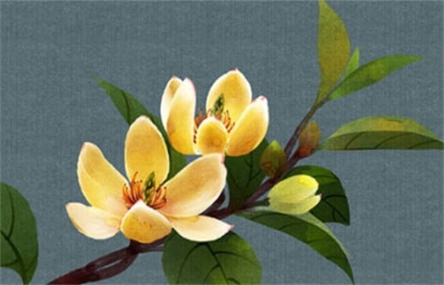 2026年06月13日出行黄历查询