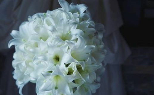 谢天谢地生肖解析及对应属性揭秘