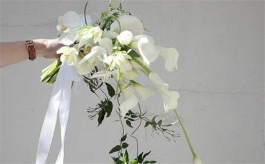 4月1日黄历吉日查询宜忌速览