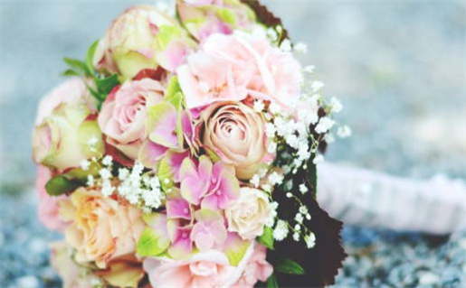 11月22日星座解析射手座与天蝎座的交界