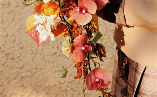 4月22日是什么星座_4月22日是什么星座的人