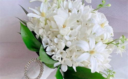 2021年9月16日五行穿衣(2021年9月16日五行穿衣指南播报)