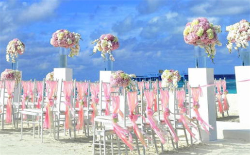 星座生肖配对(星座生肖配对查询)