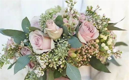 一日八百传佳音是什么生肖(一日八百传佳音是什么生肖动物)