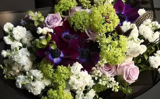 星座性格(星座性格特点分析)