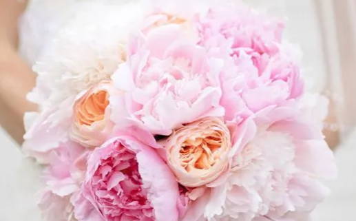 10月27日是什么星座_10月27日是什么星座,最标准的