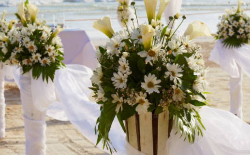 自强不息生肖精神解读与启示