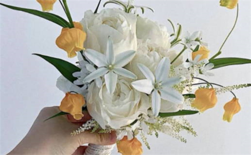 金牛座和什么星座最配(金牛座和什么星座最配对)