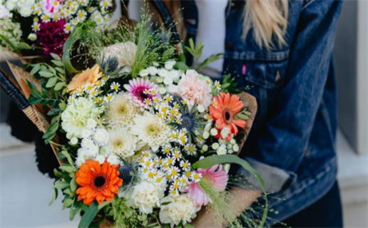 十二生肖命运解析与运势指南