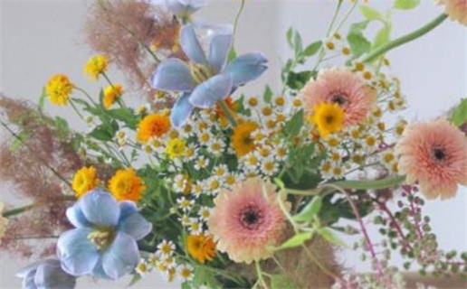 要知客处平安日是什么生肖_要知客处平安日猜生肖