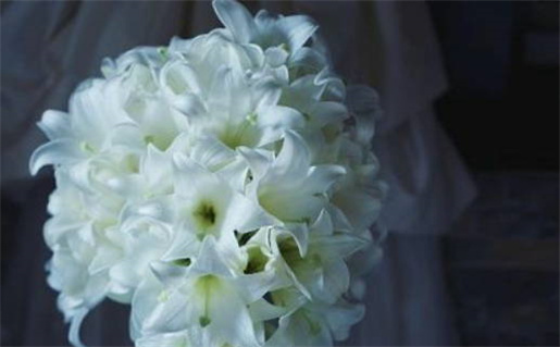 母亲节打一准确生肖(母亲节打一准确生肖是什么)