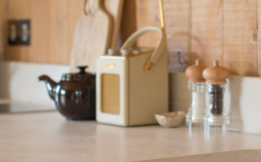 崭露头角指什么生肖_崭露头角指什么生肖动物?