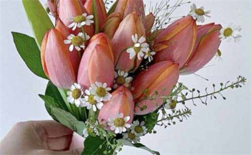 名胜古迹是什么生肖_名胜古迹是什么生肖和数字