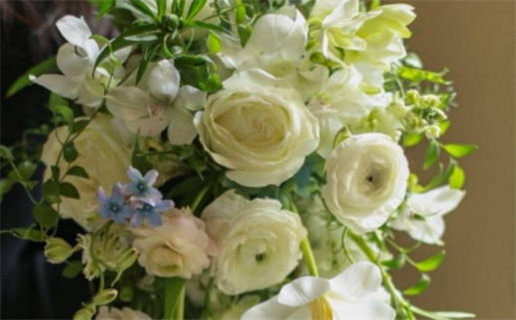 过关斩将是什么生肖_过关斩将是什么生肖动物