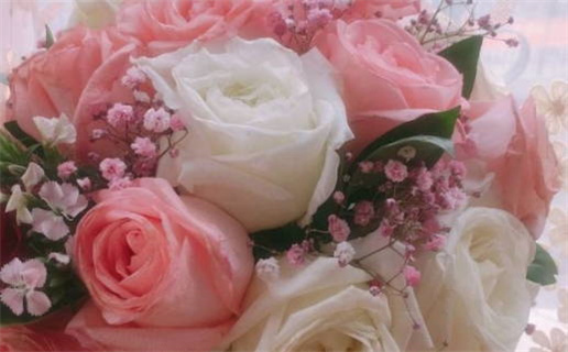 岁月无恙打一生肖动物_岁月无恙打一个生肖