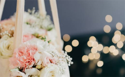 三姑六婆指什么生肖答案解析