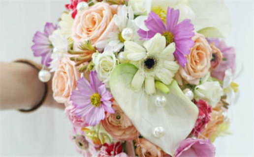 吹毛求疵是什么生肖_吹毛求疵是什么生肖?