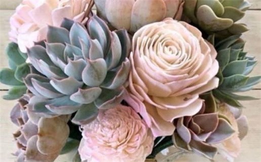 童心未泯的最佳生肖探索与乐趣让生活更精彩