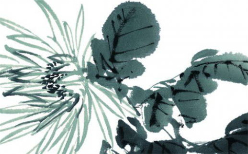 文章配图
