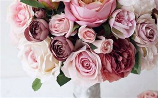 12生肖运程(12生肖运程2026年每月运势)