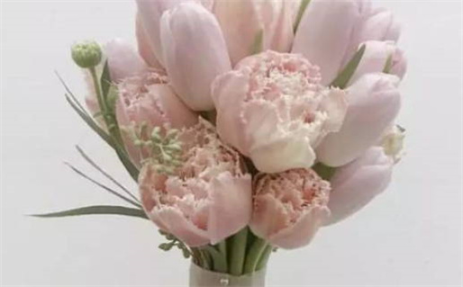 八字看命(八字看命运准不准)