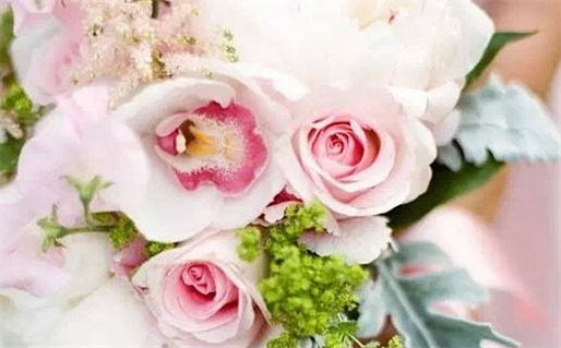 三姑六婆指什么生肖_三姑六婆指什么生肖?