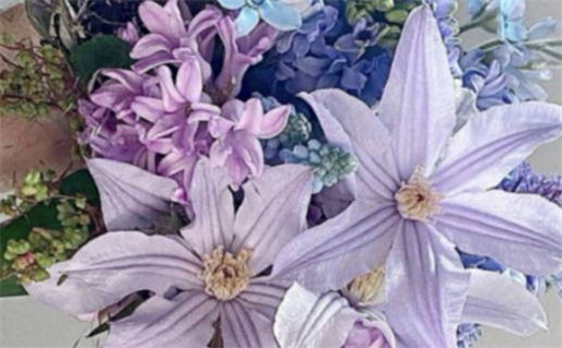 10月12日星座解析与运势揭秘