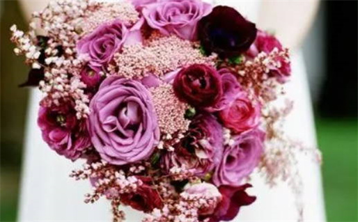 色迷心窍的生肖解析揭秘爱情与欲望的真实面貌