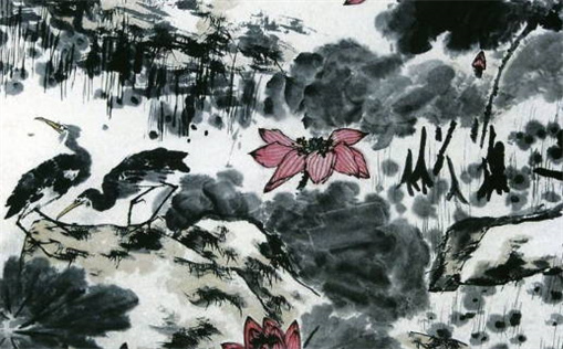 属猪的血型_属猪的血型是什么