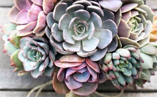 八字在线测算精准分析揭示你的人生轨迹