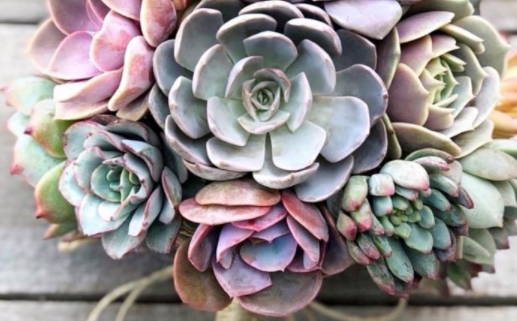 十月十日什么星座(十月十日什么星座男)