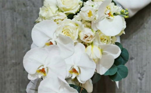 天生八字好富贵的生肖有哪些