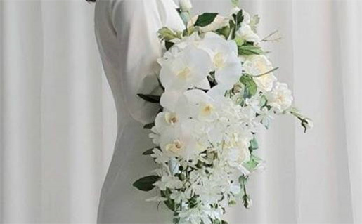 4月19日是什么星座_4月19日是什么星座?