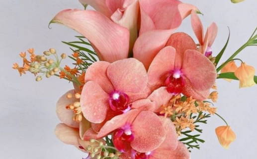 测试你的另一半星座_测试你的另一半星座是什么