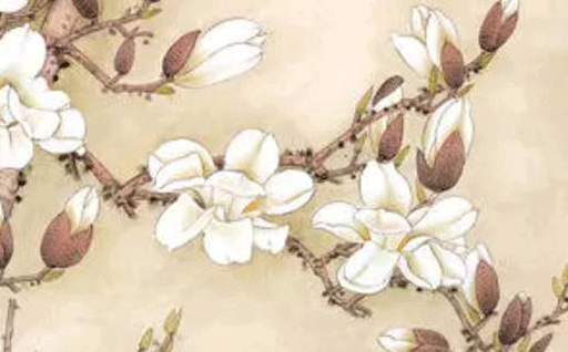 2026年05月18日动土黄历查询