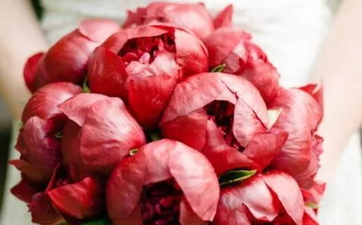 2027年01月19日结婚黄历查询