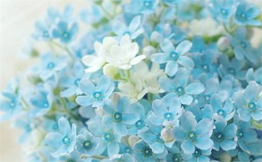 2027年02月05日老黄历适合领结婚证吗