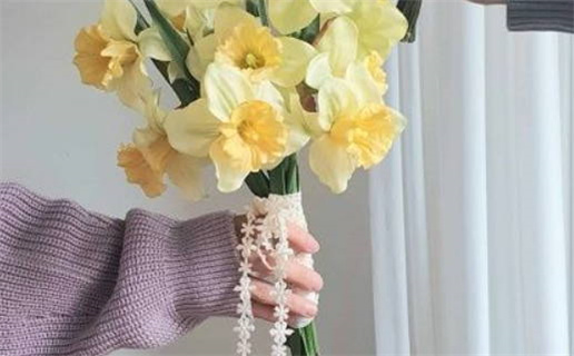 2026年11月23日领证黄历查询