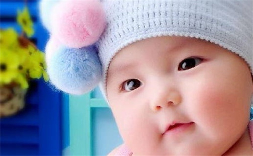 张姓男孩子取名