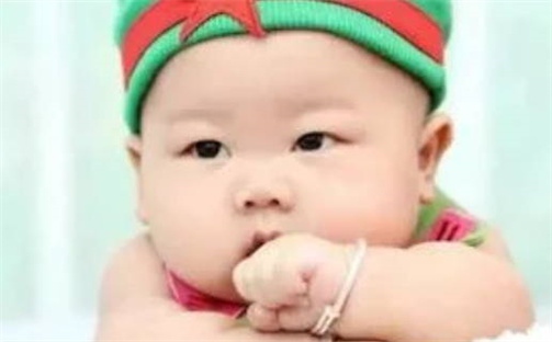 杨姓男孩子起名技巧：2026年08月21日生辰八字取名指南