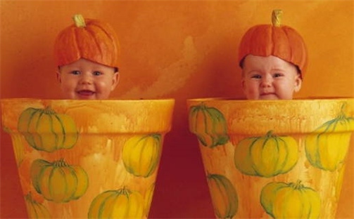 刘姓男孩子取名